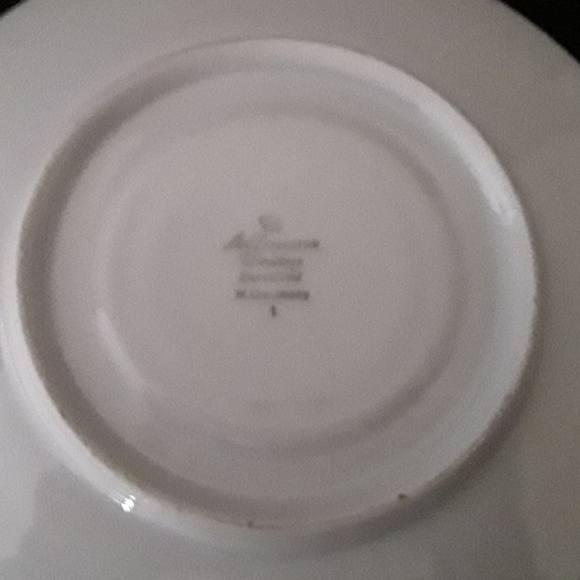 Seltmann Weiden "Annabell" cup & saucer - EVC - Picture 7 of 7